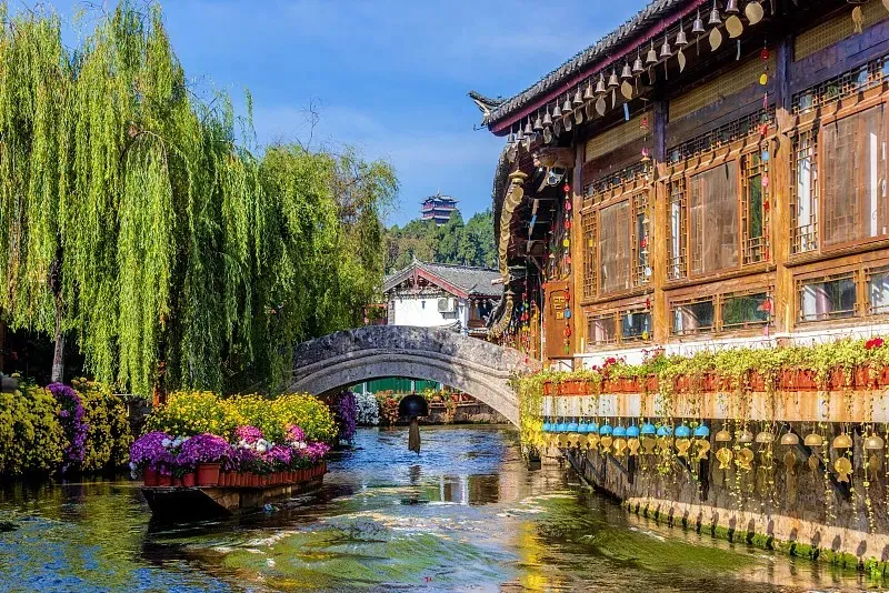 61c344e5e45c653c0524699a0d30c995-sz_239105 61c344e5e45c653c0524699a0d30c995-sz_239105