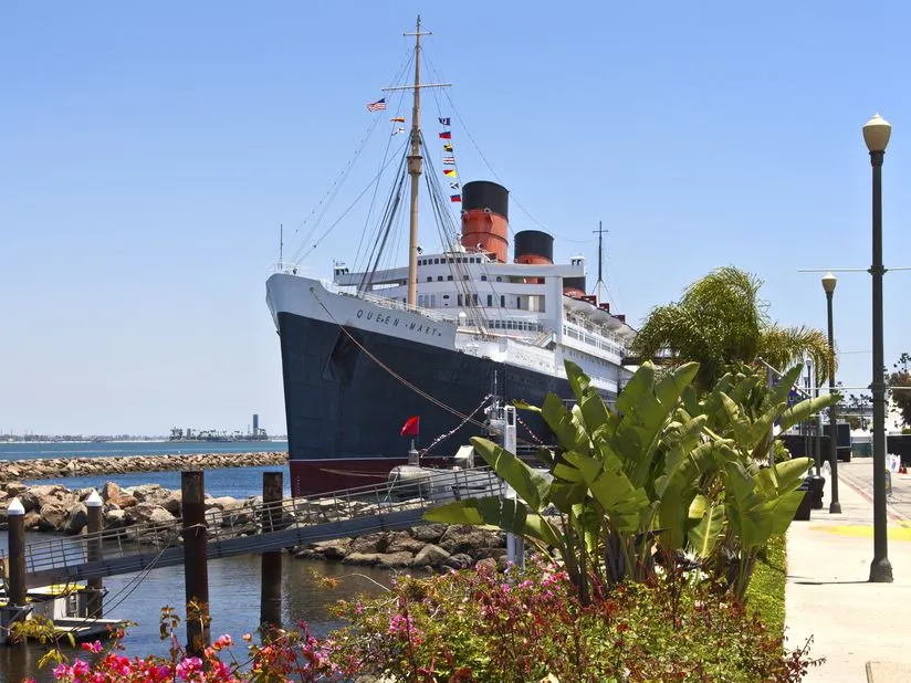 61d86137b73e7101342bc48ffa5326c0-sz_135834 61d86137b73e7101342bc48ffa5326c0-sz_135834