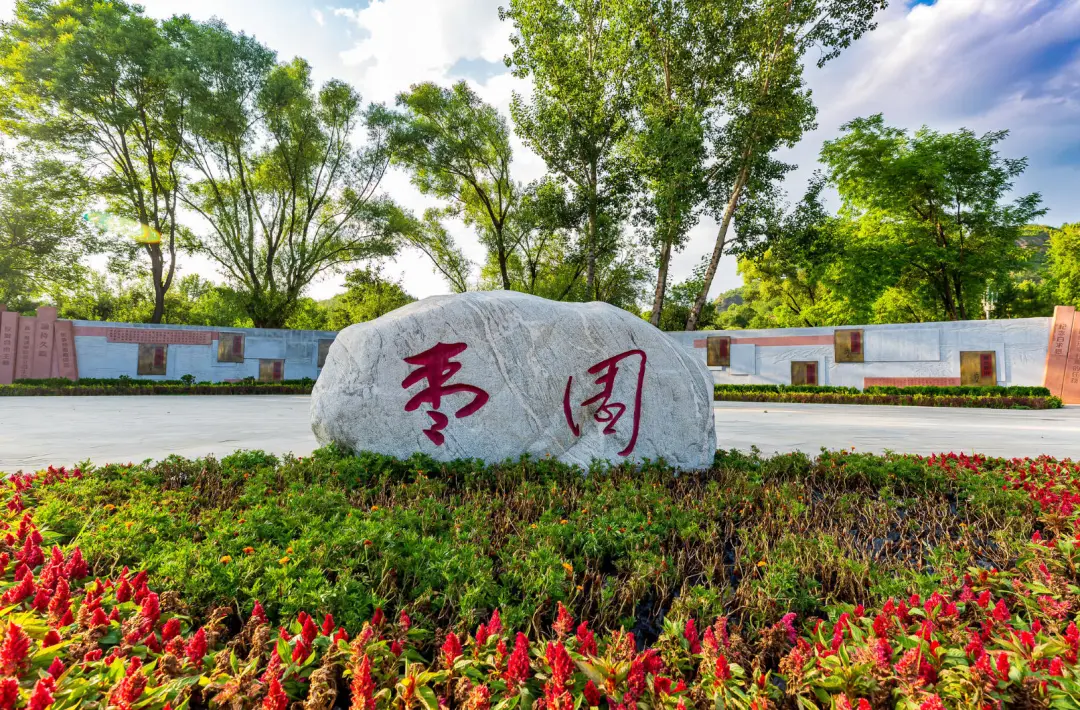 6217b1e2a5f6183e9c92e99a9f7dfe10-sz_764369-1