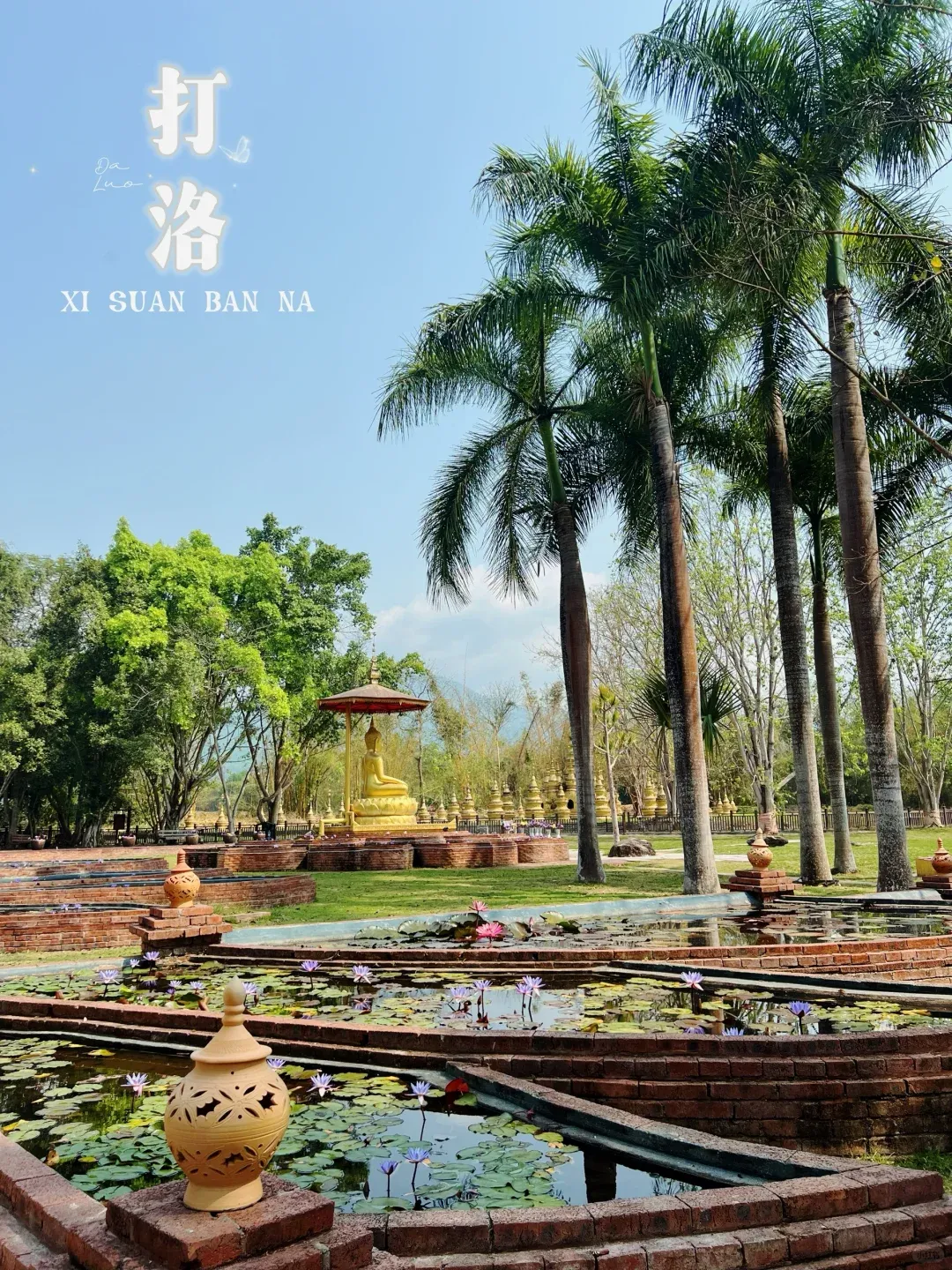 6246f455adef1ee3a625112af752ef60-sz_3485624-1