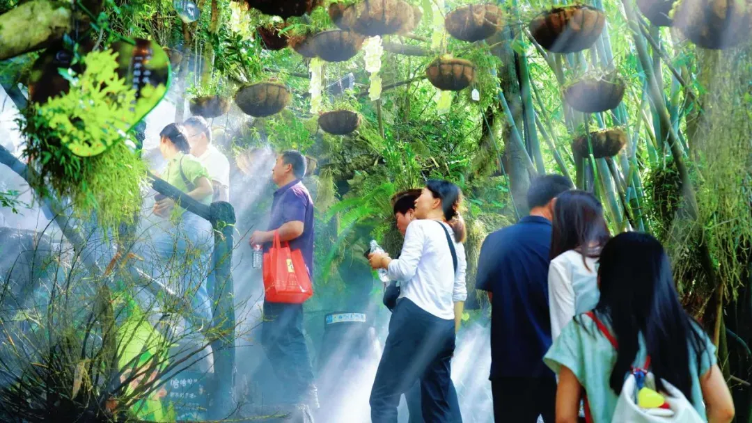 62ee3cb921c71ff25f553a5a00eaa5b4-sz_1718524 62ee3cb921c71ff25f553a5a00eaa5b4-sz_1718524