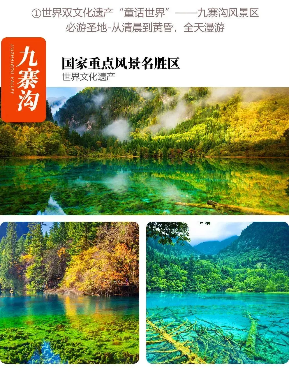 631fcb5fadb92bba6e203ecf8f0202ec-sz_2975409 631fcb5fadb92bba6e203ecf8f0202ec-sz_2975409