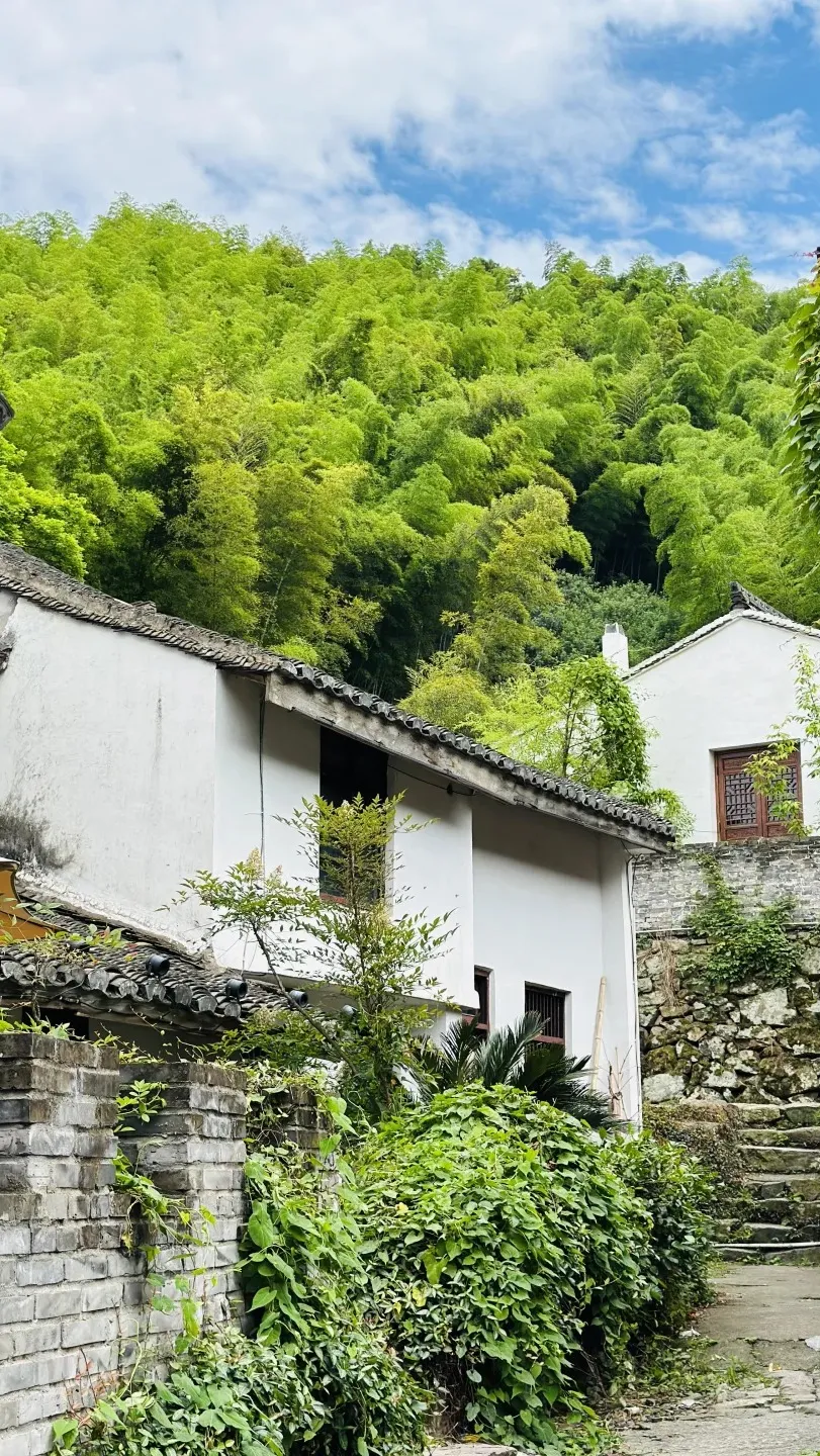 634f089258b6701f3a4bb73ca09b679d-sz_713742