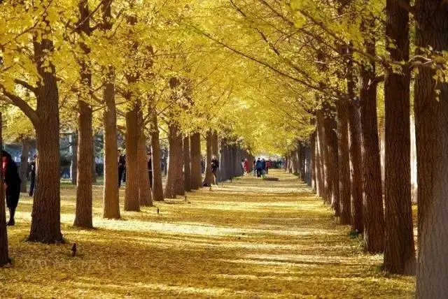 63502c422921cad120d890cd57fff6ad-sz_68584