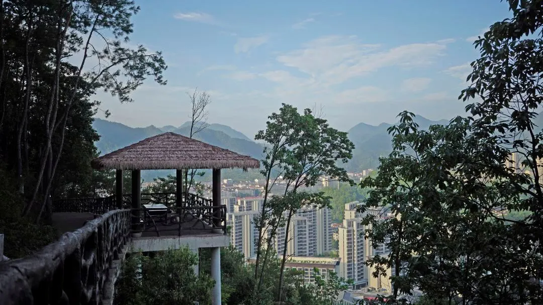 6363899afd400a8a73e2bcf6ecb2b814-sz_161623