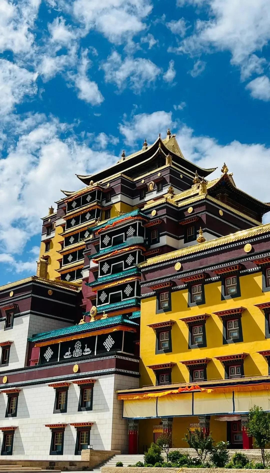 6381ec0433602077a0bbc36a4e491710-sz_345433