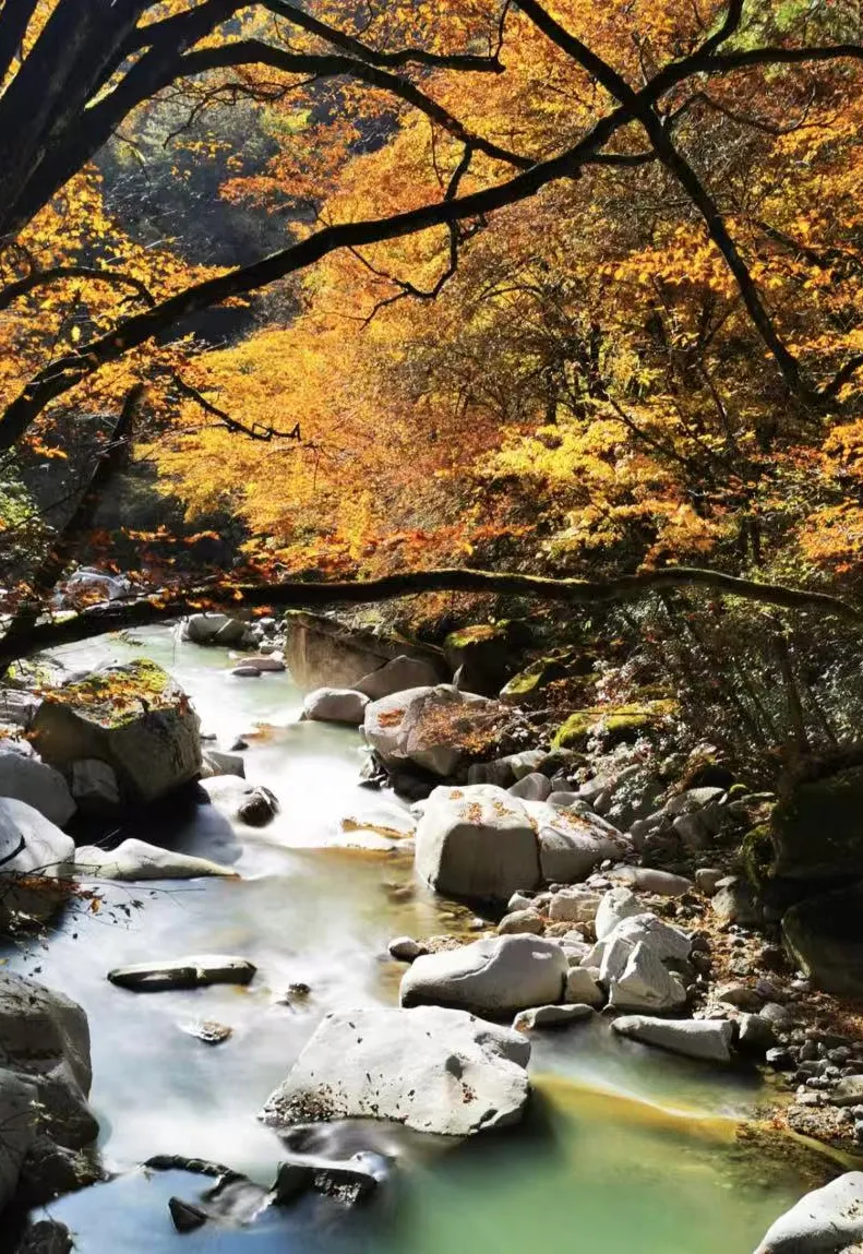 63d979b1e6c6bf1824321a1752a763f1-sz_2629046-2