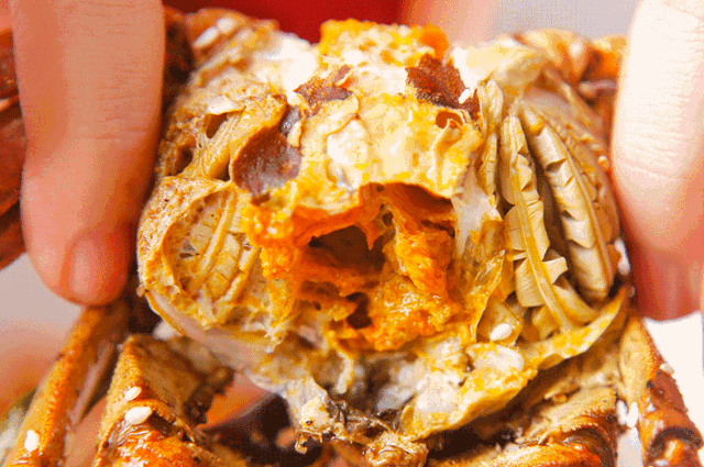 疯特了!每人一箱蟹!🦀『赏菊、吃蟹!升级世纪缘/维也纳住宿』赏菊品蟹天花板🌼兴化·五彩千垛赏菊,溱湖画舫游船,2早4正·升级一餐蟹宴,真纯玩无套路!泰州·兴化三日~限时399!