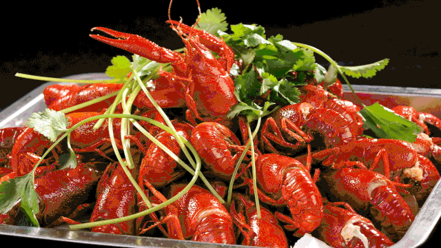 399豪华【金牌温汤】四日游·豪华温汤双自助·江郎山·廿八都·药王山·天脊龙门·水亭门·3早5正