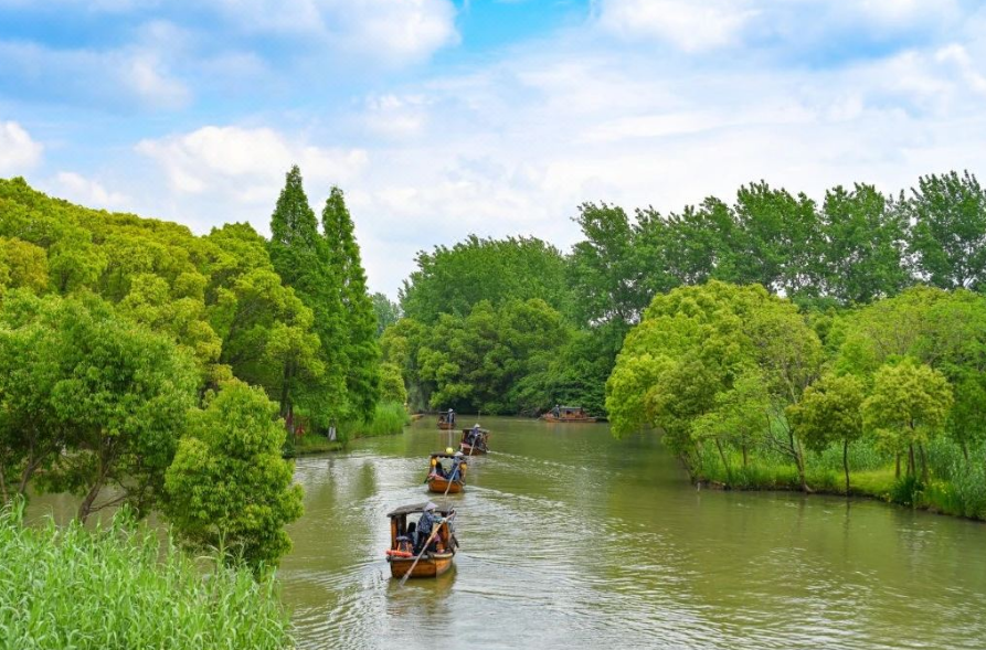 【常熟沙家浜慢时光】住沙家浜芦荡四季酒店，吃住全含，芦苇荡里听风，摇橹船上赏秋，沙家浜金秋品蟹，青石板路漫步~~~