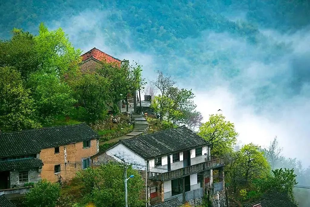 『浙东天路-宁波余姚-山顶5星之旅』春天的童话100%住四明山森林公园内 赠送棋牌·卡拉OK娱乐，含3早6正，纯玩康养4日