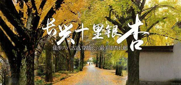 『秋意浓 | 邂逅十里古银杏长廊』499元宿雷迪森世嘉酒店◆船游下渚湖+奇幻谷◆享2早4正~品特色鱼汤饭◆免费棋牌 纯玩赏秋三日