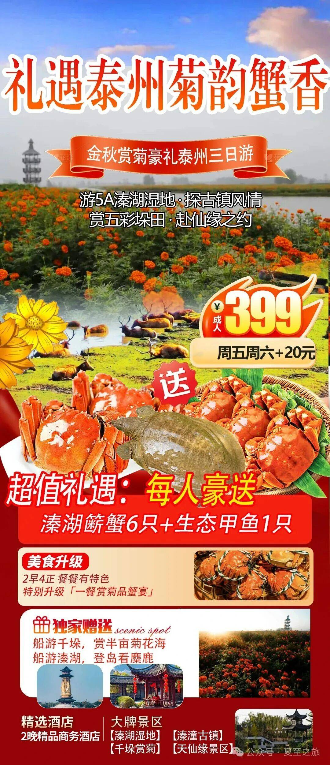 『船游千垛万亩菊花节&壕送大闸蟹+生态甲鱼！让您又吃又拿！』399元泰州纯玩三日游5A溱湖湿地、每人送6只溱湖簖蟹+1只生态甲鱼