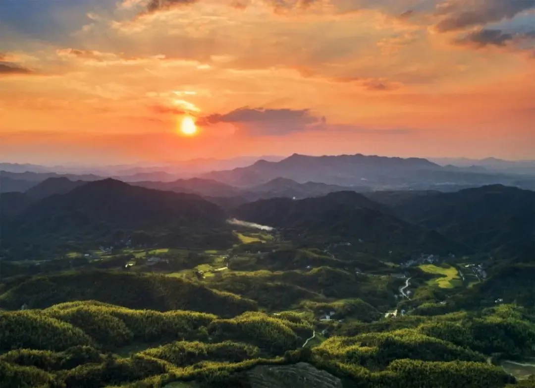 642349246a6ed181c98902e77c303372-sz_80185 642349246a6ed181c98902e77c303372-sz_80185