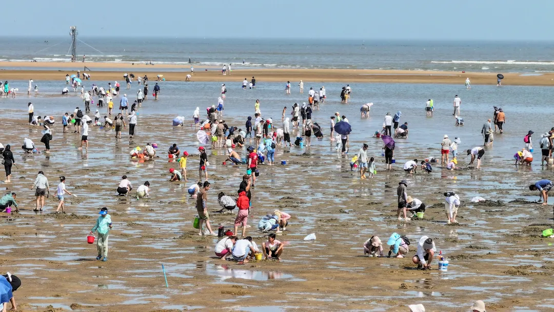 649ca522b8fd1c81b851f39d140a669c-sz_1741816 649ca522b8fd1c81b851f39d140a669c-sz_1741816