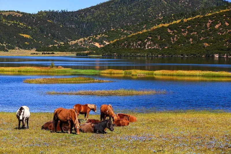 64bbb418c1b37ff262c4b85df3bf25fa-sz_205375 64bbb418c1b37ff262c4b85df3bf25fa-sz_205375