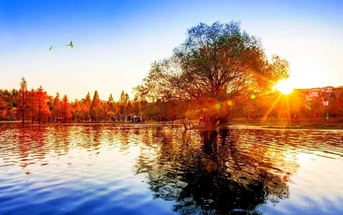 64d5915d7dc64fe936923bbf46134910-sz_522469-1 64d5915d7dc64fe936923bbf46134910-sz_522469-1