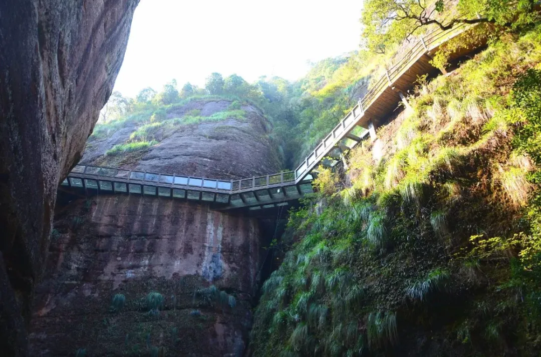 64f643f66e810dcae2005b812985ad73-sz_2393927 64f643f66e810dcae2005b812985ad73-sz_2393927