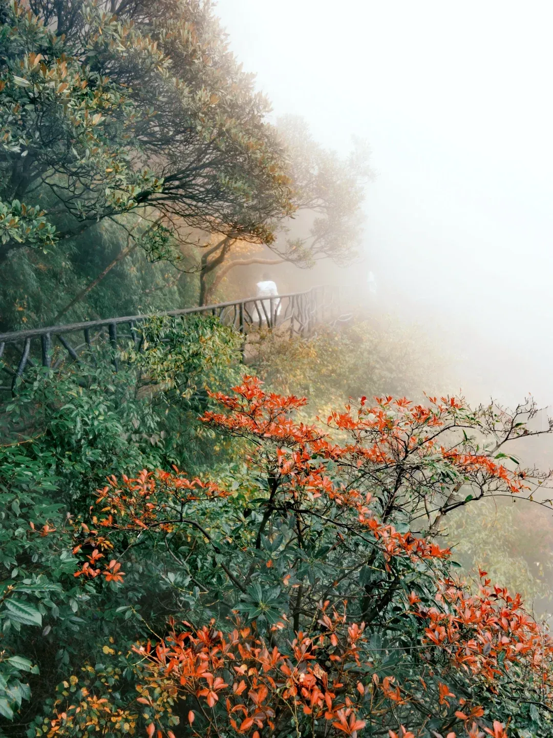 651e9b92dac00e5bf26dfe038b2a6452-sz_3336079-1