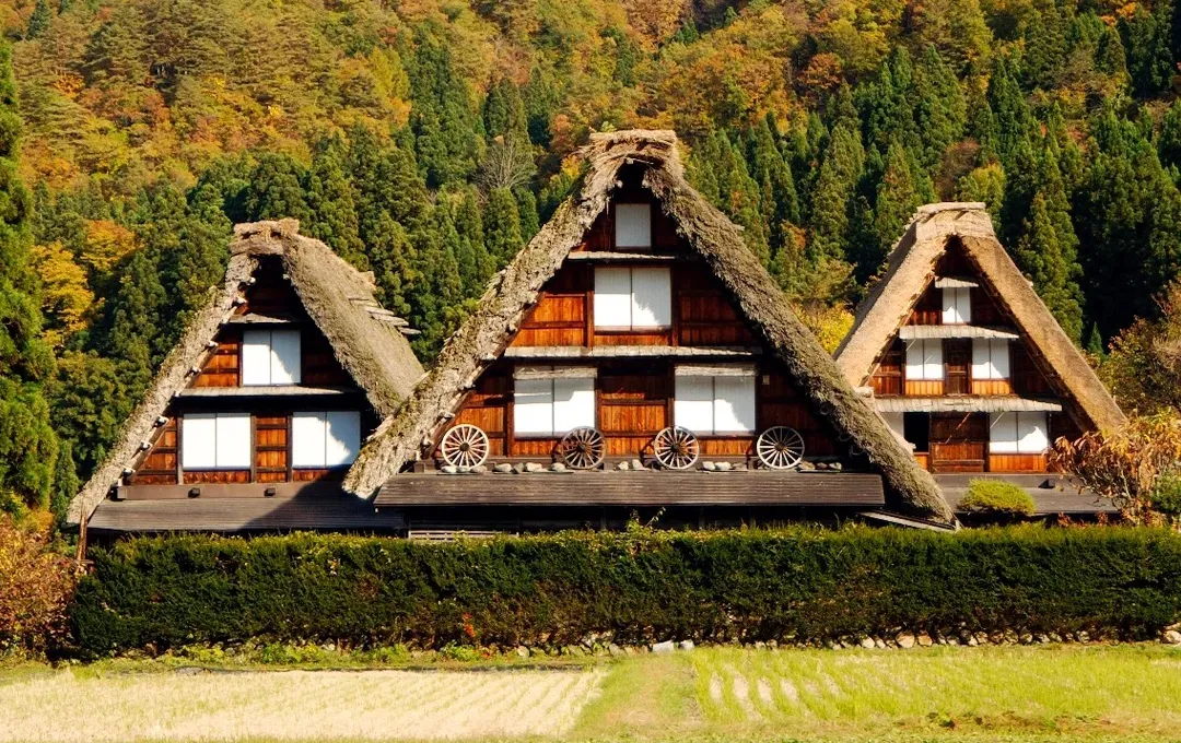 6563ec537724251cdc2abfcaf5c67db2-sz_689874