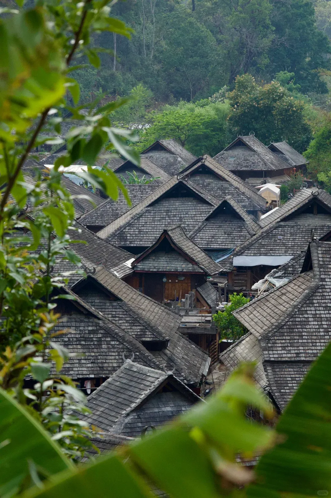 657d9cc2c7665412ea9435d6cca9e34c-sz_4052992-1