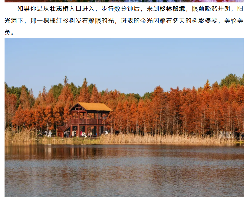 66001b92623b38c9ae77e43adce75460