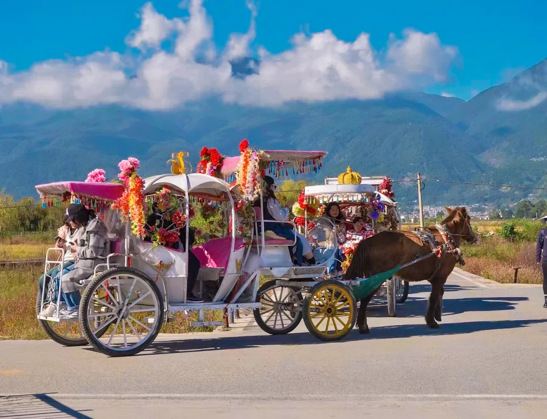 6647b15c1430d1d5732ecf6f7e43e19f-sz_905246-1 6647b15c1430d1d5732ecf6f7e43e19f-sz_905246-1