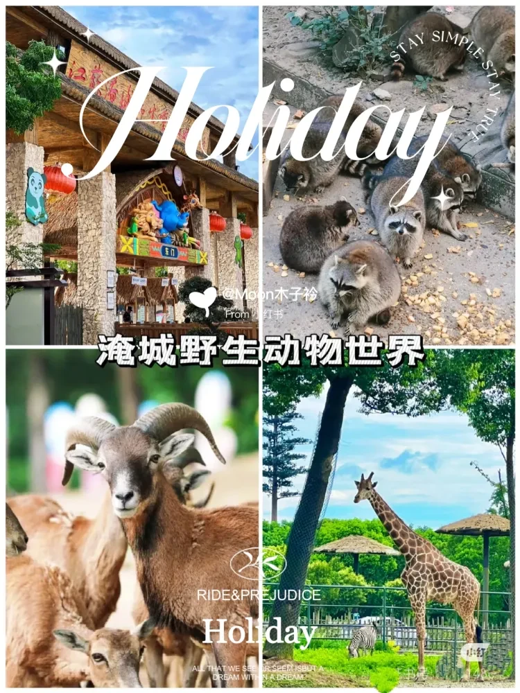 664cde5bf84ed60adc403beead6456fd-sz_1975029 664cde5bf84ed60adc403beead6456fd-sz_1975029