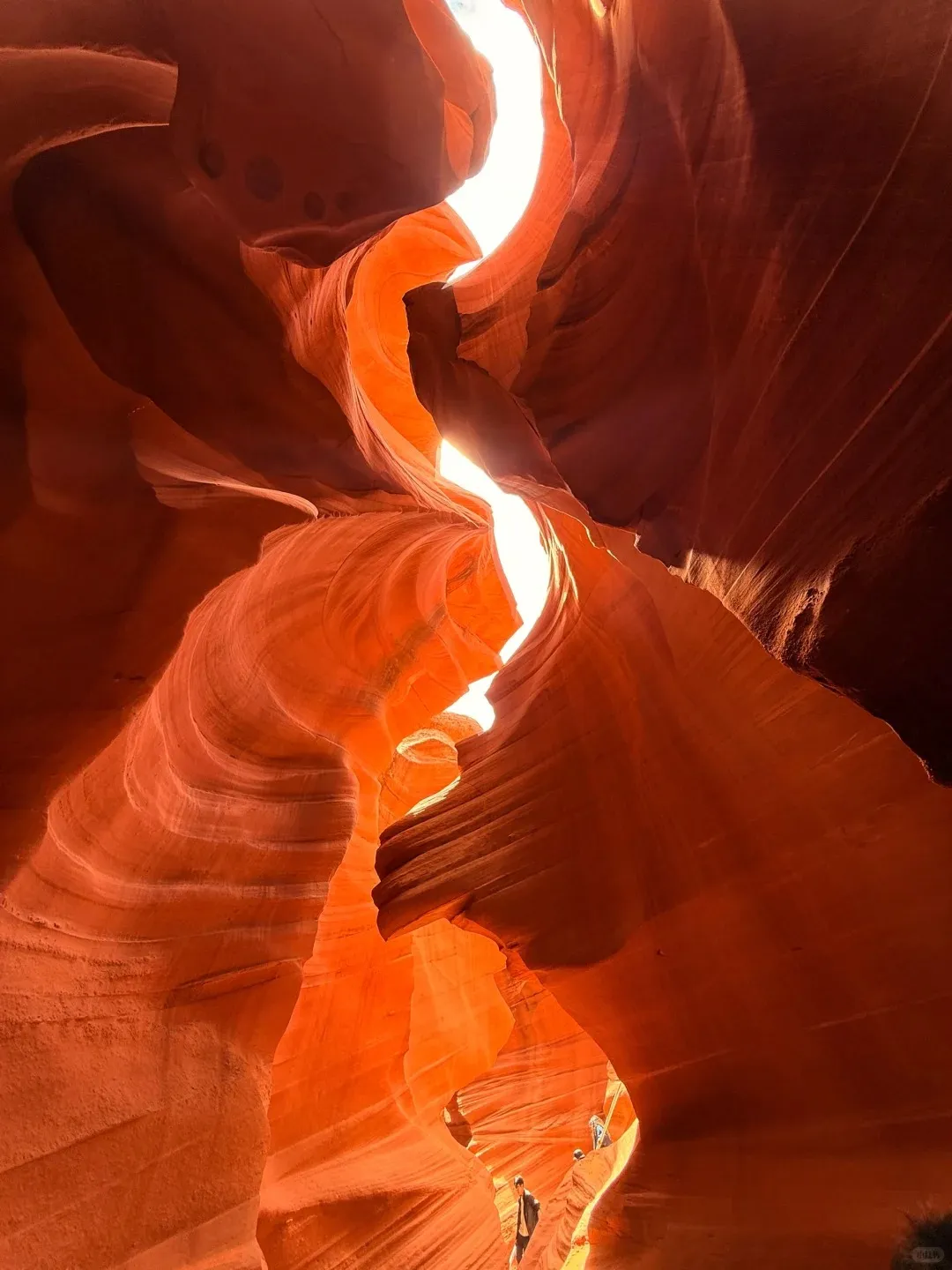 6684a0b9140ea8247a9253eb99a1414f-sz_272425 6684a0b9140ea8247a9253eb99a1414f-sz_272425