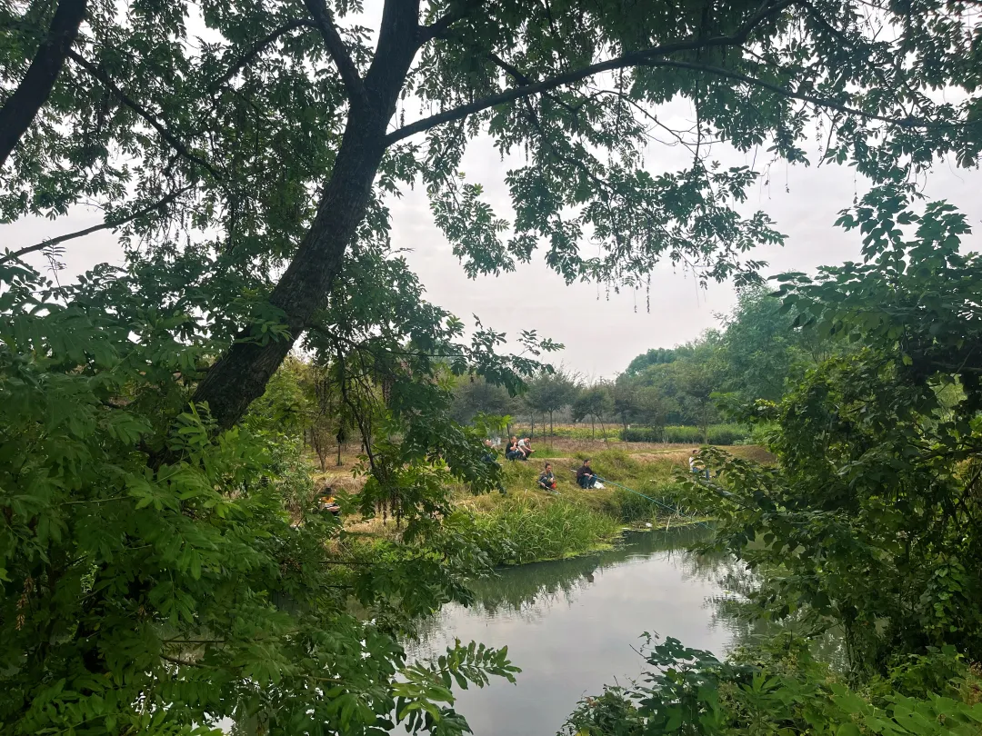 6697d5f37901af4d8bd191c5edf6c049-sz_10325291 6697d5f37901af4d8bd191c5edf6c049-sz_10325291