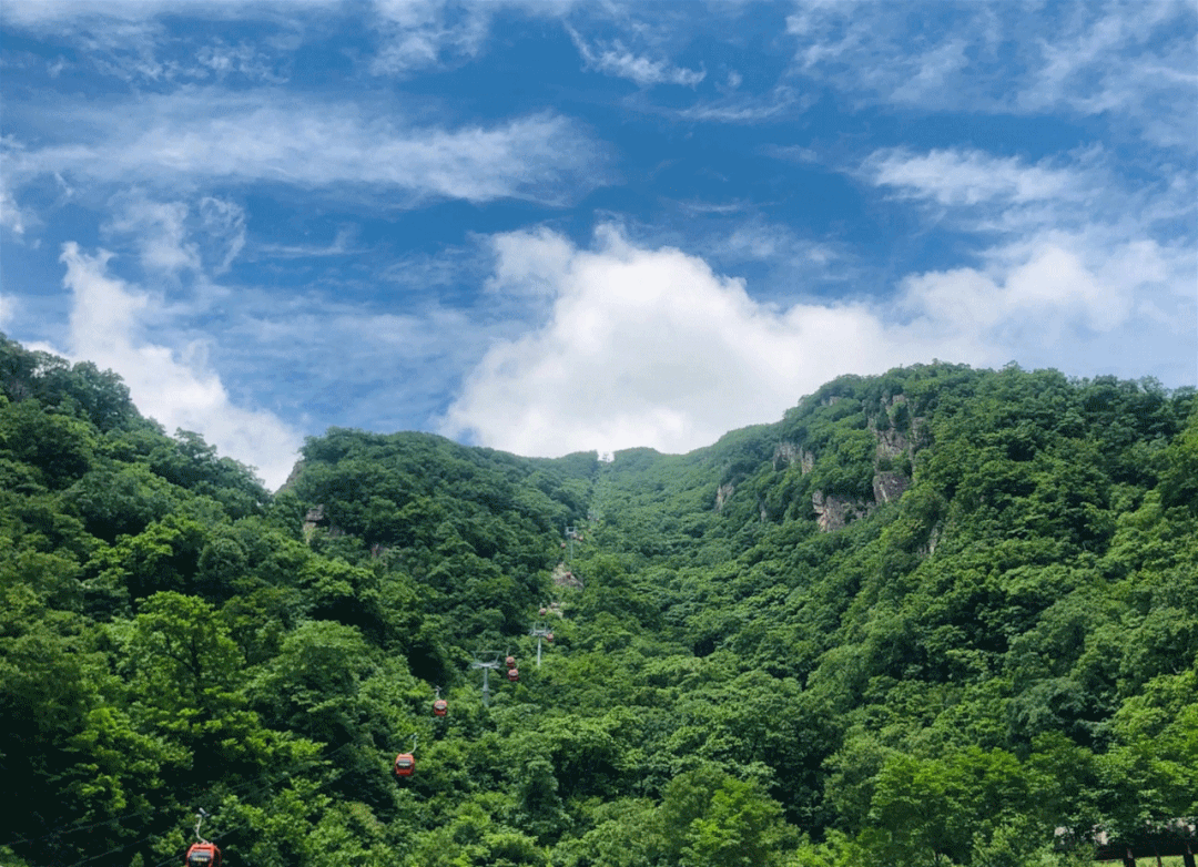 66bd50536e6c3c951e215b902390ae7b-sz_2439480