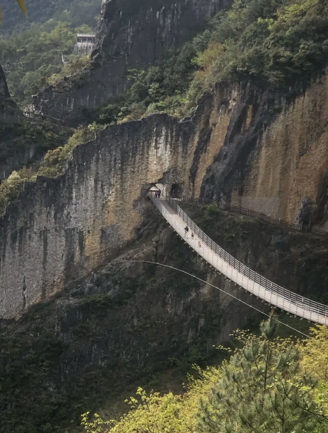 66d839b1e1f910f93b1240f65b28f787-sz_350884 66d839b1e1f910f93b1240f65b28f787-sz_350884