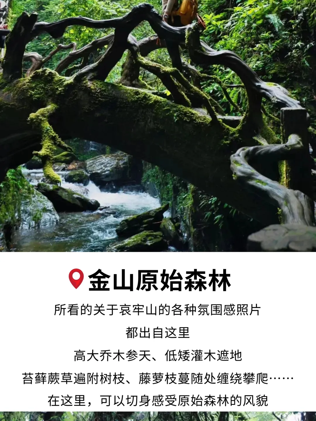 67b1db8c9ad6d5c6d4f3d3439feba9c1-sz_612672