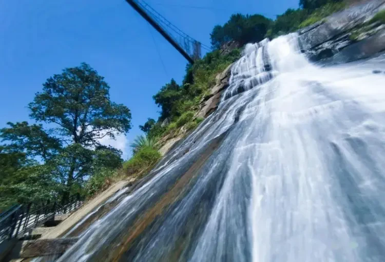 687c65fdc524de61103117faaaf8f44f-sz_107704 687c65fdc524de61103117faaaf8f44f-sz_107704