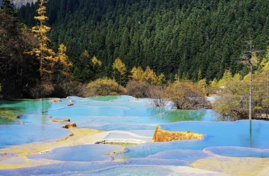 688dc33246a1b5b2e8d51d36268a338d-sz_2406042 688dc33246a1b5b2e8d51d36268a338d-sz_2406042