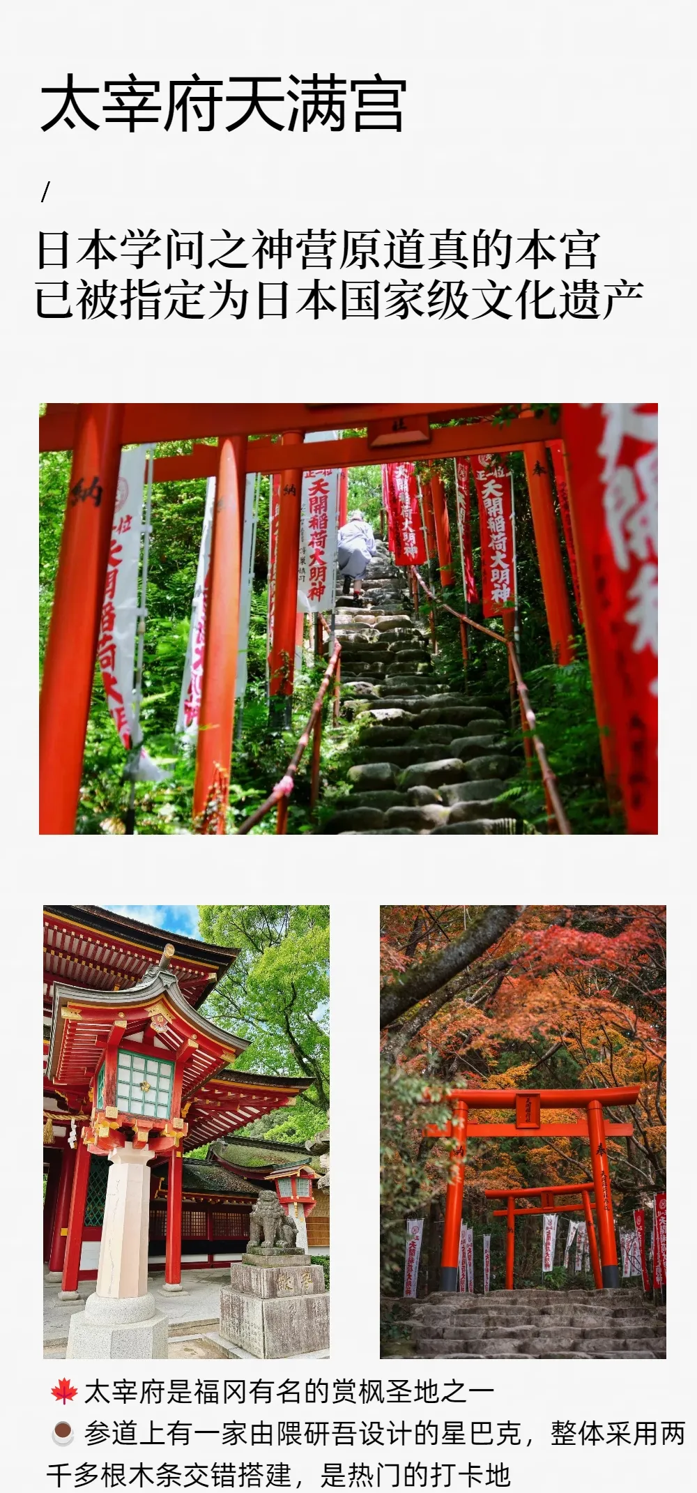 68b2f4591bf9c9826a5f521ea11ceaf9-sz_1372744 68b2f4591bf9c9826a5f521ea11ceaf9-sz_1372744