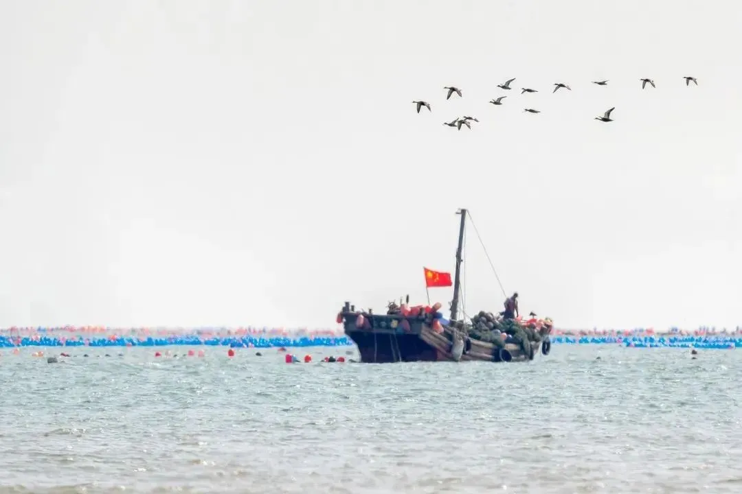 69455047b20d0ac8ff99d275dc4a6830-sz_89461 69455047b20d0ac8ff99d275dc4a6830-sz_89461