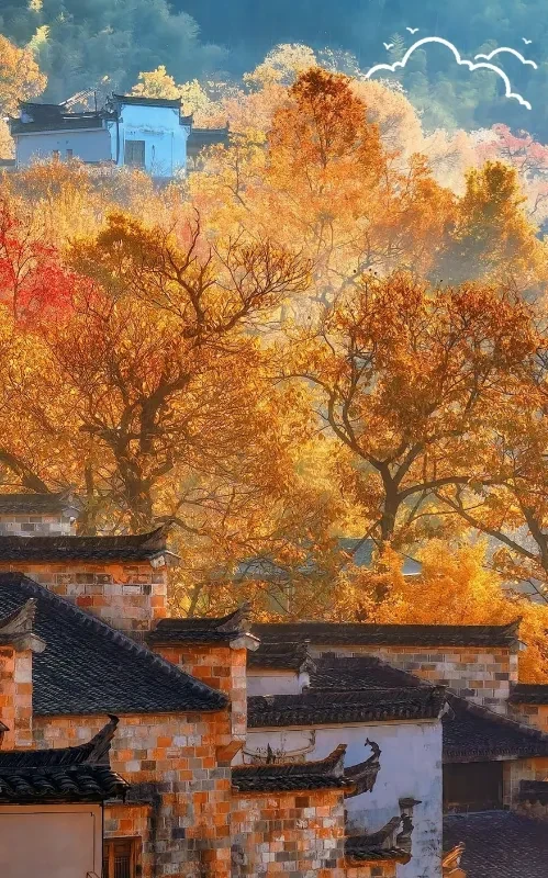 6986f713abc7157054c2caefb460a138-sz_1021553 6986f713abc7157054c2caefb460a138-sz_1021553