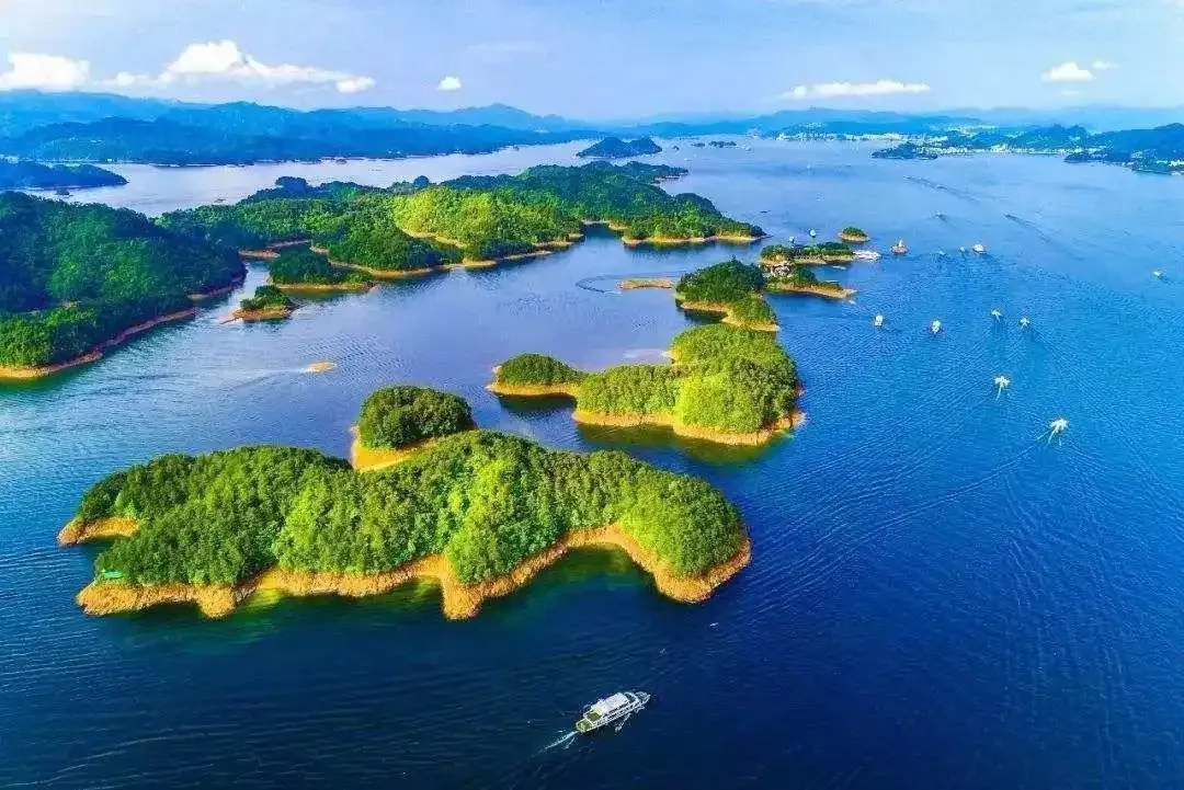 69f64d9dbbc48b6ccd149cfa7d3848c1-sz_373788 69f64d9dbbc48b6ccd149cfa7d3848c1-sz_373788