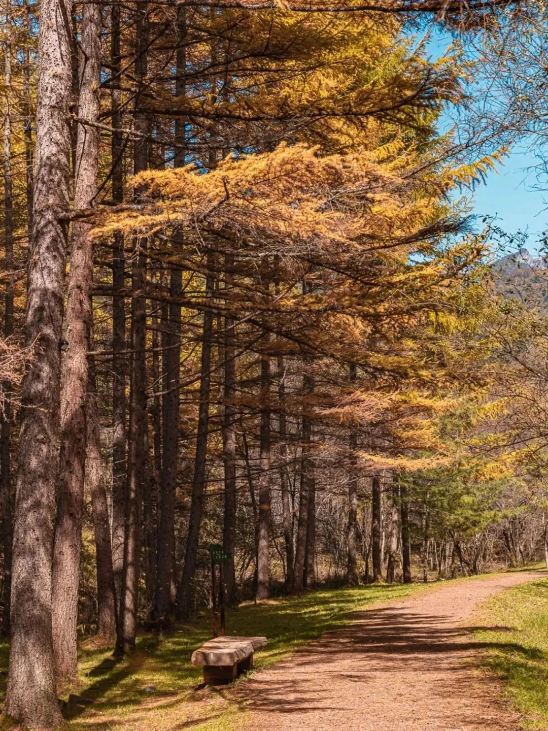 6a89ba5e11e0cf404ff7c393f018990c-sz_443555