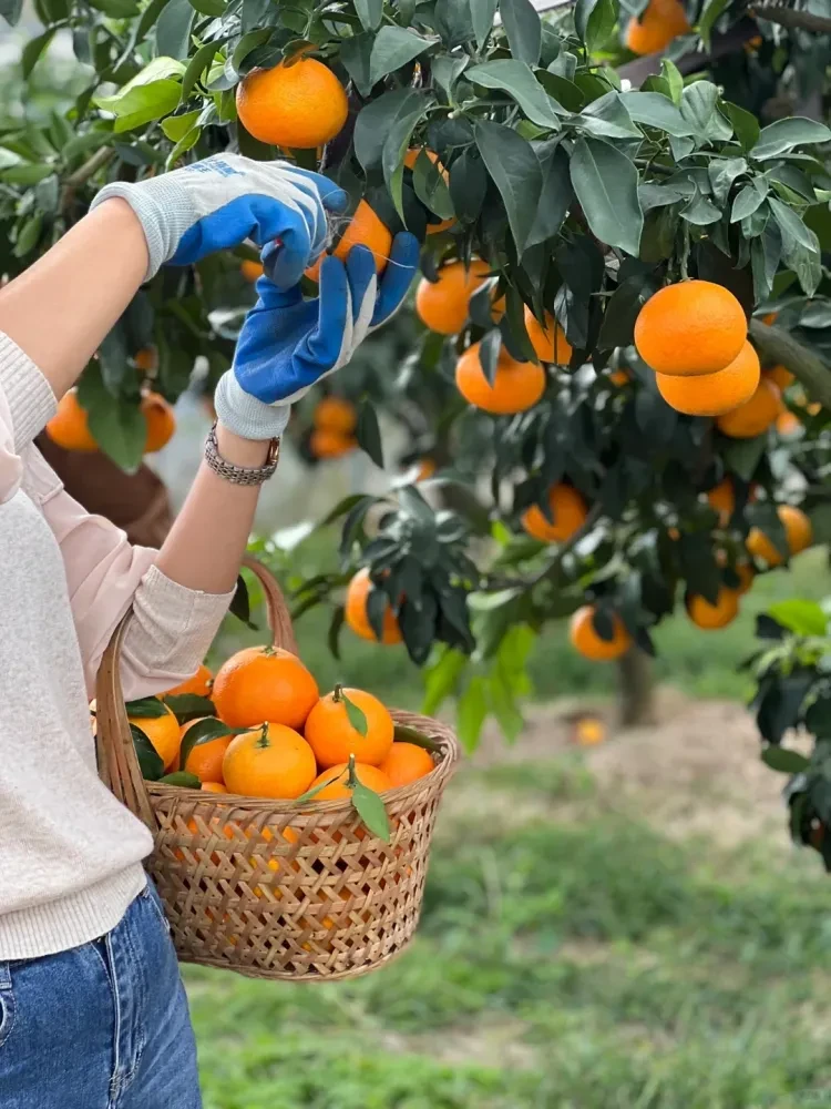 6b2538256736a8c186d1093bc1193199-sz_3638063 6b2538256736a8c186d1093bc1193199-sz_3638063