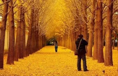 6b31c2922fd65ee0dd200ecc65aeb1b4-sz_31132