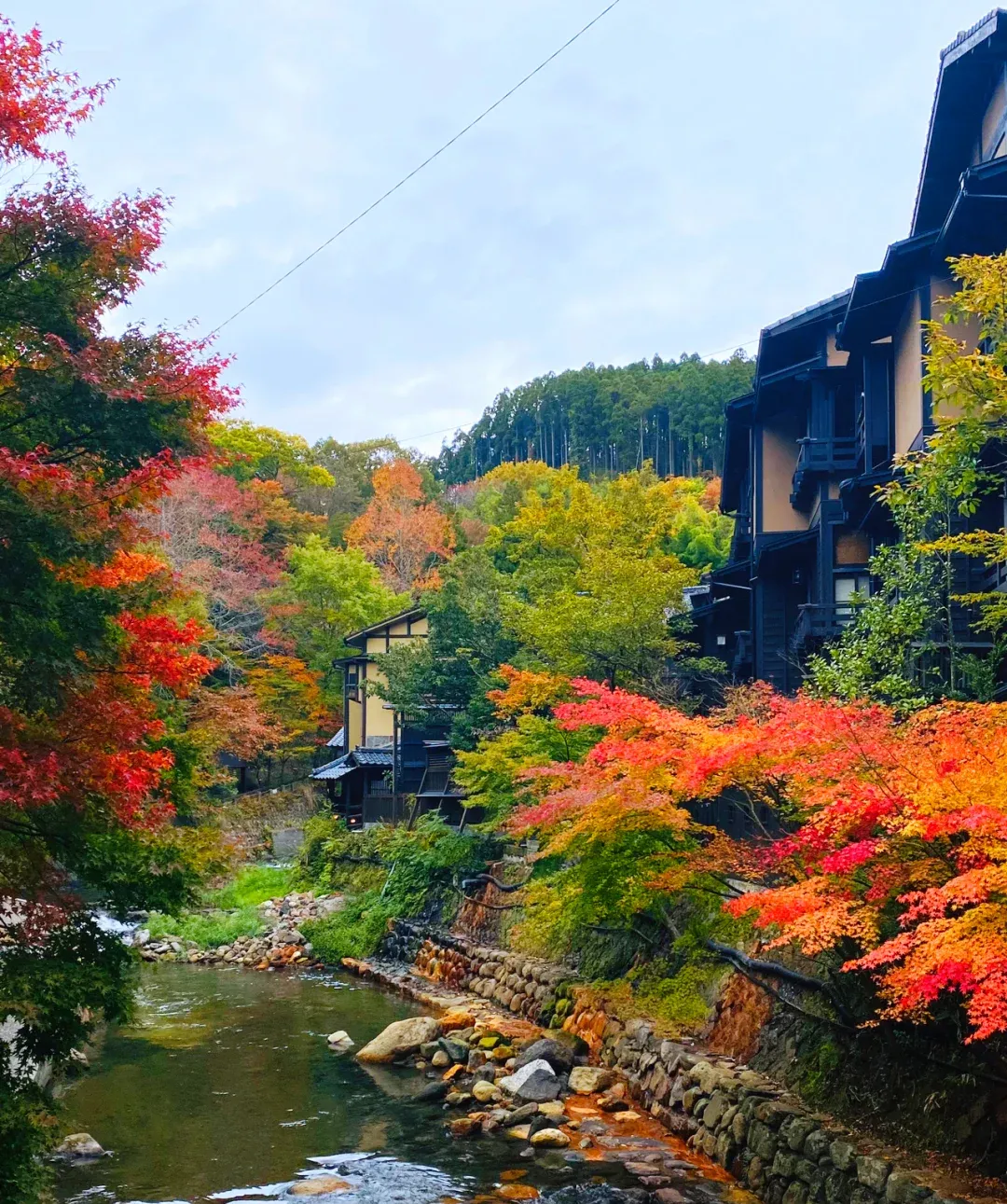 6b32cf9822db046fed31b1dd40ece863-sz_3394568 6b32cf9822db046fed31b1dd40ece863-sz_3394568