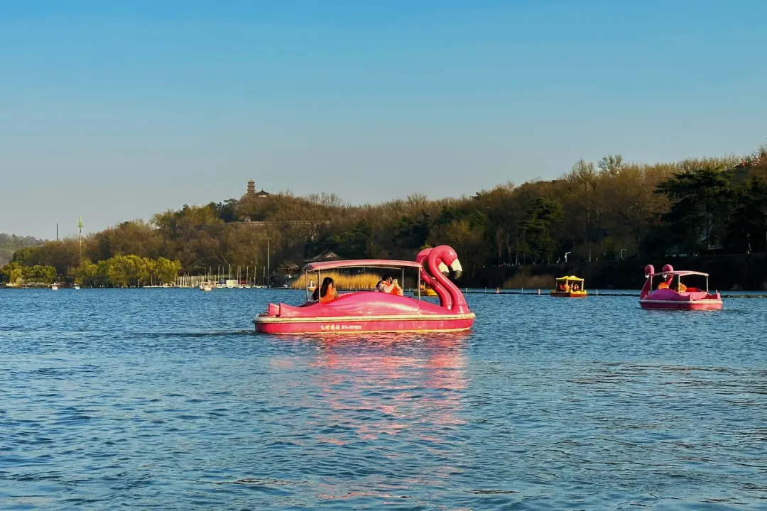 6b507bb21d5c9b7fa26dfef507427e28-sz_1919817 6b507bb21d5c9b7fa26dfef507427e28-sz_1919817