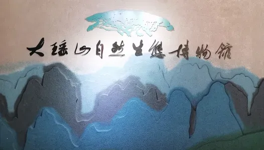 6b81902e52639b184907b43b08a8f81d-sz_285505