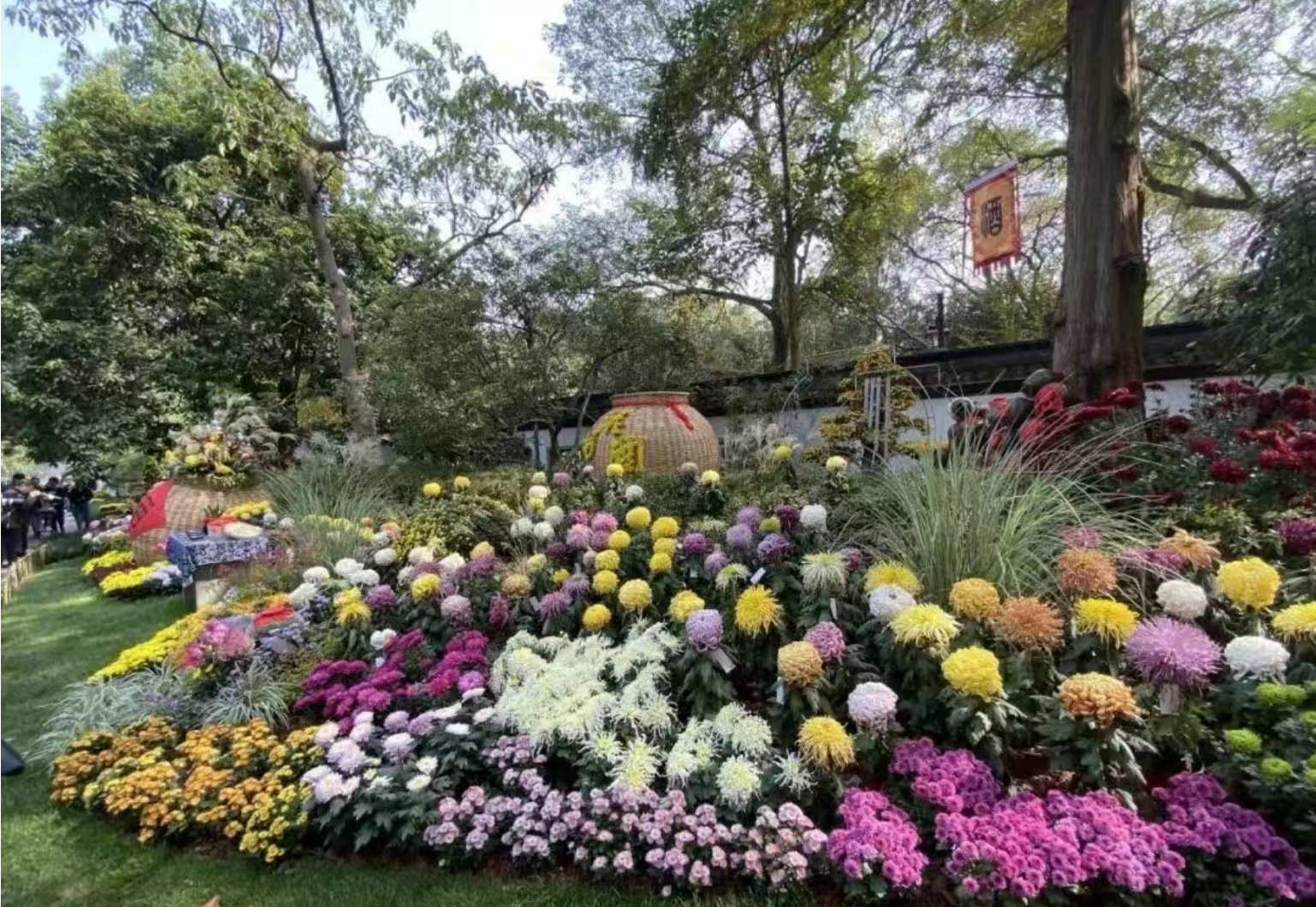 6b9d2c2d4995badc5dd6ec6a7e2bd08e