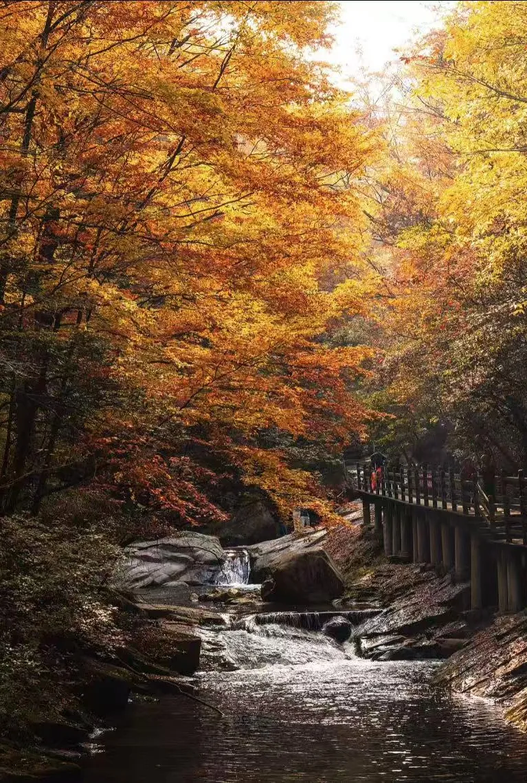 6bcf02988c90941e9e7a9ddac0d46460-sz_2578441-1