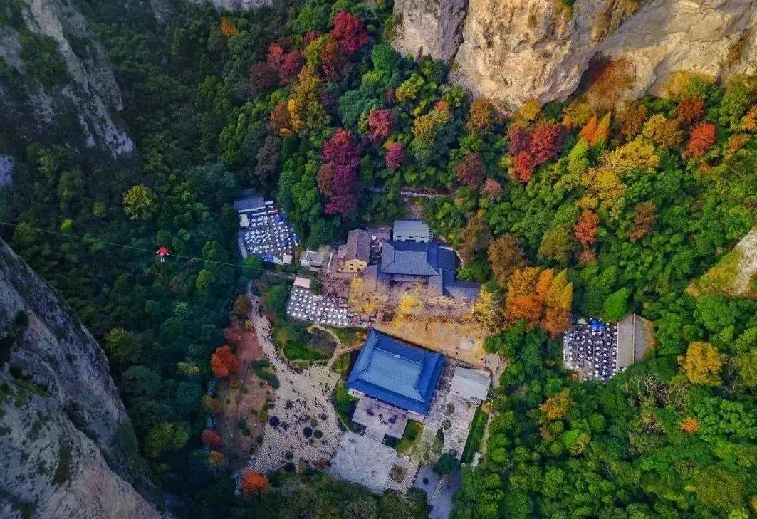 6c372a38f2b461919ba1c6fd4bebae7b-sz_176663-1