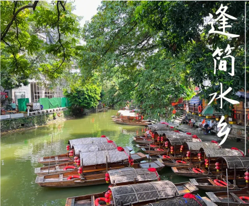 上海自组18小团-1999元玩广东+惠州双飞6天，全程4钻海景酒店连住3晚，海滨度假、大湾区观光、深中通道豪华之旅