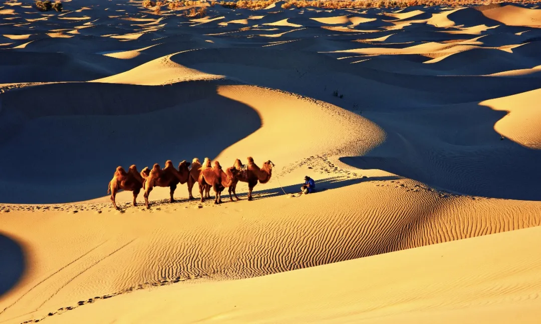 6c73b9946cf403cbc2a7eb045c44a93f-sz_475135 6c73b9946cf403cbc2a7eb045c44a93f-sz_475135